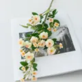Artificial small rose flower branch long stem fake floral home decor photography prop - Champagne