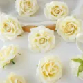 Kunstzijde rozenhoofdjes, crèmewitte neobloemen voor DIY huwelijkskransen en achtergronddecor. - crème