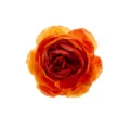 Kunstmatig pioenroos bloemhoofd 8cm, oranjerode zijden neobloem voor huwelijksdecoratie. - Oranje