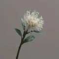 Künstliche Nadelkissenblume Stiel für Heimdekoration, Hochzeitsstrauß und Fotografie-Requisiten. - Weiß