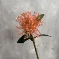 Kuenstliche Nadelkissenblume Retro Pfirsich Rosa Deko Blume mit Stiel fuer Heimkultur DIY - Orange