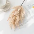 Artificial pampas grass dried flowers bouquet for Nordic wedding home decor arrangement. - Champagne