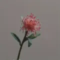 Künstliche Nadelkissenblume Einzelstiel im Vintagestil für Heimdekoration und Blumenkunst - Rosarot