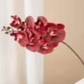 Kunstmatige phalaenopsis orchidee tak donkerrood nep bloemen huisdecoratie tafeldecoratie - Rood