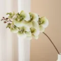 Kunstmatige 7-hoofd Phalaenopsis orchidee groen tak neobloem voor tafel decoratie - Groen