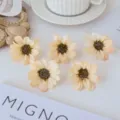 Künstliche Seiden-Gänseblümchen Köpfe, cremefarbene Stoffblumen für DIY und Heimdekoration. - Beige