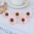 Künstliche rosa Gänseblümchen Köpfe für Basteln, Stoff Blumen Zubehör für Heimdekoration. - Rosa Weiß