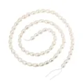 Natürliche weiße Süßwasser-Reisperlen-Strang für DIY-Schmuckherstellung und Ketten - Süßwasser-Reisperle (3A) / 4-4.5mm / 38cm Strang (ca. 51 Stück) / Weiß