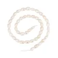Natürliche weiße Süßwasser-Reisperlen-Strang für DIY-Schmuck - Süßwasser-Reisperle (3A) / 5-6mm / 35cm Strang (ca. 54 Stück) / Weiß