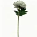 Fausse fleur pivoine artificielle tige unique blanche en soie pour decoration de mariage - Vert clair