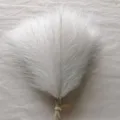 Erba della pampas artificiale bianca canne finte stile boho decorazione floreale casa. - Bianco