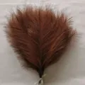 Mazzo di erba pampa artificiale marrone, decorazione di canna in stile bohémien. - Marrone scuro