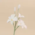 Detailaufnahme eines handgemachten weißen Häkel-Dendrobium-Orchideen-Blütenzweigs. - Weiß