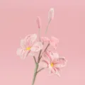 Detaillierte Nahaufnahme einer handgehäkelten rosa Orchidee mit feiner Garnstruktur - Rosa