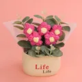 Decorative hand-knitted puff flower potted plant with eucalyptus leaves in a cream Life pot - Puff Flower Potted Plant / Rose Red