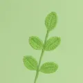 Vista macro dettagliata di foglie verdi fatte a mano all'uncinetto con trama fitta - Ramo di Foglie Quattro Stagioni a 5 Foglie / Verde Germoglio