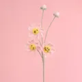 Primo piano di un fiore Galsang fatto a mano all'uncinetto con trama di filato - Ramo di Fiori Gesang a Punto Afghano / Rosa