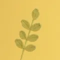 Primo piano dettagliato di un ramo di foglie verdi fatte a mano per composizioni floreali - Ramo di Foglie a 7 Foglie per Tutte le Stagioni / Giallo Germoglio