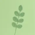 Vista macro dettagliata di uno stelo di foglia all'uncinetto verde per i bouquet - Ramo di Foglie a 7 Foglie per Tutte le Stagioni / verde pisello