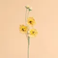 Dettaglio ravvicinato di margherite gialle fatte a mano all'uncinetto su sfondo beige - Ramo di Fiori Gesang a Punto Afghano / Giallo