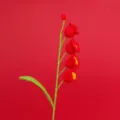 Handmade red crochet lily of the valley flower on a vibrant red background for gift - Four-Head Lily of the Valley Branch (Finished) / Red