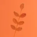 Dettaglio di uno stelo di foglie all'uncinetto arancione fatto a mano per fiori - Ramo di Foglie a 7 Foglie per Tutte le Stagioni / Arancione