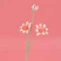 Exquisite Detailansicht von handgehäkelten Gänseblümchen auf pinkfarbenem Hintergrund - Rosa