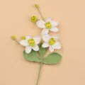 Detaillierte Ansicht eines handgefertigten Häkel-Phalaenopsis-Zweigs - Weiß