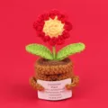 Detail of a handmade crochet flower pot with a motivational card for emotional support - Daisy / Red