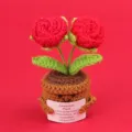 Detail of handmade crochet red rose potted plant holding a motivational message card - 2-Head Bubble Rose / Red