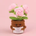 Handmade pink crocheted rose potted plant with emotional support encouraging card - 3-Head Bubble Rose / Pink