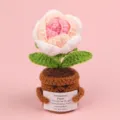 Handmade crochet rose potted plant with cute face and motivational message card - Rose / Gradient Korean Pink