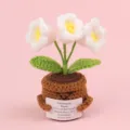 Handmade white crochet flower in brown pot holding emotional support card message - 3-Headed Lily Of The Valley / White