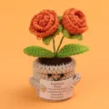 Handmade crochet emotional plant with inspirational card in orange potted flower gift. - 2-Head Bubble Rose / Medium Smile Pot (Beige) / Orange