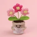 Handmade crochet emotional support plant with pink flowers and inspirational quote card - 3-Head Puff Flower / Medium Smile Pot (Beige) / Gradient Pink