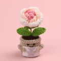 Emotional Plant crochet potted plant with motivational card in pink color - Rose / Medium Smile Pot (Beige) / Gradient Korean Pink