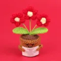Handmade crochet red flower potted plant ornament with motivational emotional card - 3-Head Puff Flower / Red