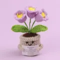 Handmade crochet emotional plant pot with encouraging English message card gift item - 3-Headed Lily Of The Valley / Medium Smile Pot (Beige) / Purple