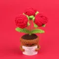 Handmade crochet red rose potted plant with cute face and emotional encouragement card - 3-Head Bubble Rose / Red