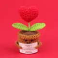 Handmade crochet heart potted plant desktop ornament with inspirational card message - Heart Shape / Medium Smile Pot (Brown) / Red