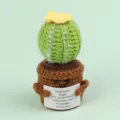 Handmade crochet cactus emotional plant desktop ornament with a motivational message card - Cactus Style / Medium Smile Pot (Brown) / Light Green