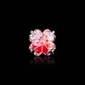 Eleganter süßer rosa Farbverlauf vierblättriger Kleeblatt Zirkon Ohrstecker mit Titanlegierung - Edelstahl Schraube Kleeblatt Stil (A1192-1) / Gelbe Beerenrot