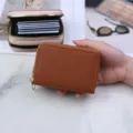 Συμπαγής καφέ θήκη καρτών με διπλό φερμουάρ και θήκες τύπου ακορντεόν - Καφέ
