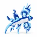 Realistisches Blaues Drachen Seeschnecken Plüschtier mit detailliertem Muster - 32x38x4cm / Blau