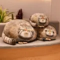 Cute Pallas's cat plush pillow soft stuffed animal toy for living room sofa home decor. - Realistic Manul / 30 cm