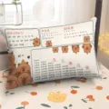 Cuscino educativo con matematica e pinyin, simpatico cuscino capibara per la camera. - DBBS12