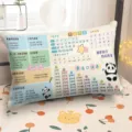 Wiskundige formule kussen pinyin conversie voor studenten dutje bed rugkussen - 50x30 cm (zonder kussenvulling) / DBBS04