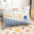 Cuscino educativo per bambini con pinyin e tabella di moltiplicazione per letto camera. - DBBS10