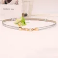 Gedetailleerde close-up van de slanke zilveren lederen riem met elegante gouden gesp. - Zilver