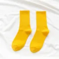 Women yellow crew socks, trendy candy color knitted socks for daily wear and spring. - One Size / Apricot Yellow